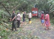 Polres Minahasa Atasi Pohon Tumbang di Jalur Tondano- Remboken
