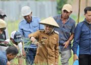 Wali Kota Kotamobagu Hadiri Panen Raya Bawang Merah: Bukti Nyata Sinergi Petani dan Bank Indonesia