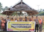 Polres Kotamobagu Gelar Panen Raya Jagung, Tunjukkan Komitmen Dukung Ketahanan Pangan Nasional