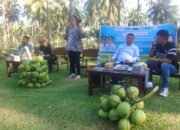 BRPM Tanaman Palma dan Pewarta Deprov Sulut Gelar FGD Tingkatkan Produktivitas Kelapa