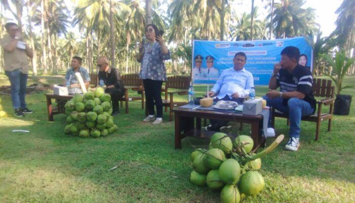 BRPM Tanaman Palma dan Pewarta Deprov Sulut Gelar FGD Tingkatkan Produktivitas Kelapa
